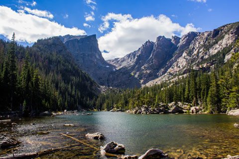Landscape