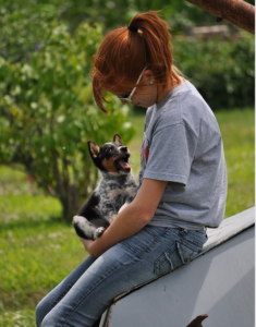 pet therapy