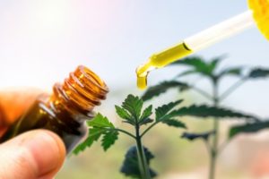 CBD hemp oil